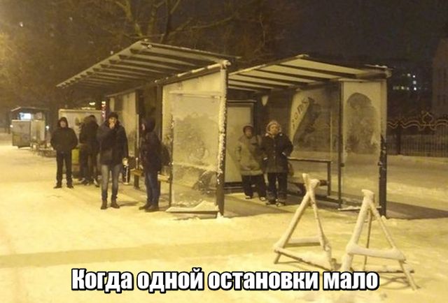 Подборка картинок Подборка картинок