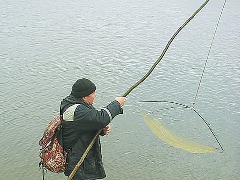 Фото: Анатолий Маилков. Браконьер-рекордсмен наловил на шестьсот тысяч рублей
