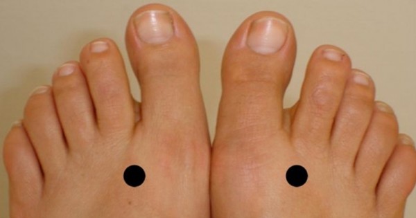 thumb-600x315 (7)