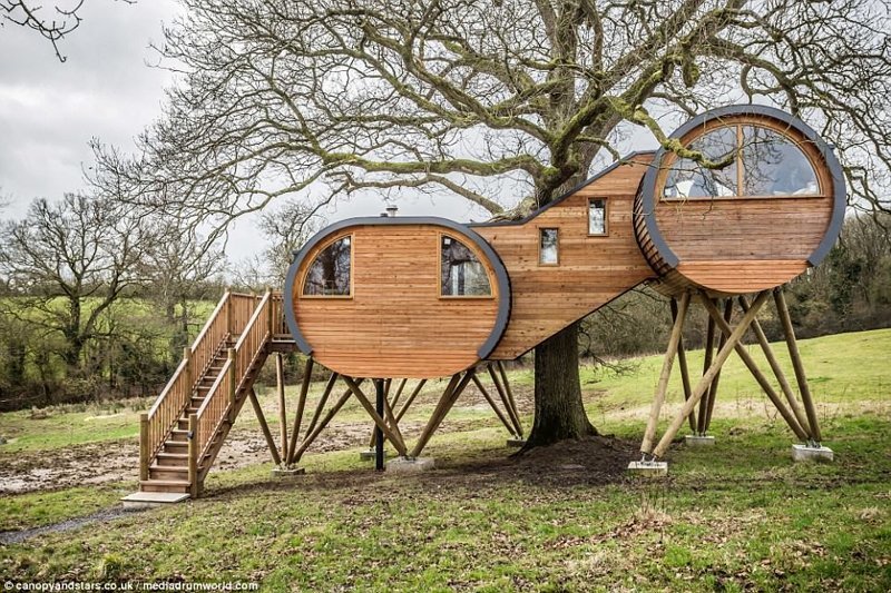 Капсульный многоуровневый дом Cheriton Treehouse построен на зрелом дубе Капсульный многоуровневый дом Cheriton Treehouse построен на зрелом дубе дизайн, дом, дом на дереве, жилье, интерьер, строительство, фото, экодом