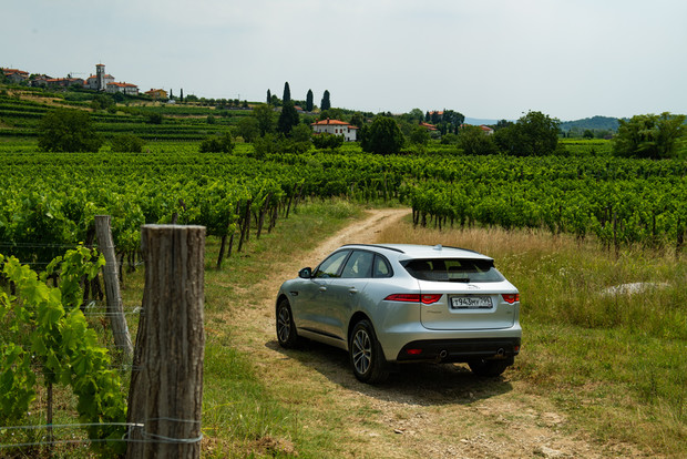 В год дебюта Jaguar F-Pace получил награду World Car of the Year — «Всемирный автомобиль года»