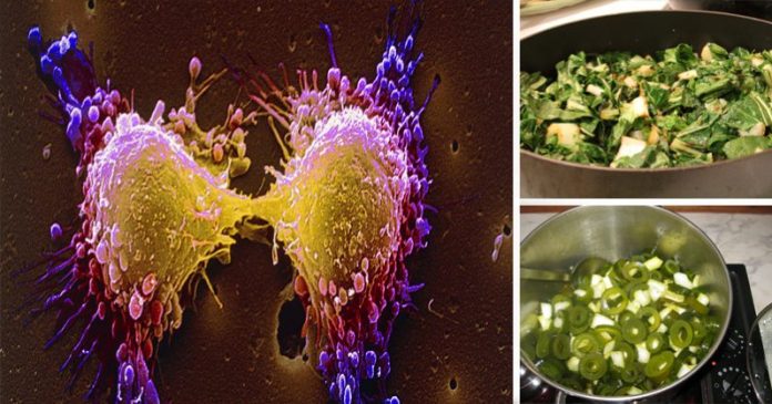 15-Foods-That-Force-Cancer-Cell-Death-Remove-Toxins-And-Relentlessly-Hunt-Free-Radicals