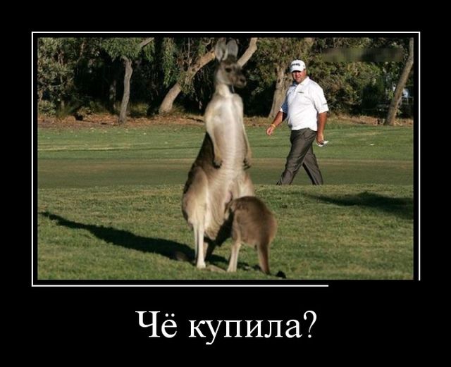 Демотиваторы, мно-о-о-ого, отличной подборочкой для зарядки позитивом на весь день! Демотиваторы, мно-о-о-ого, отличной подборочкой для зарядки позитивом на весь день!