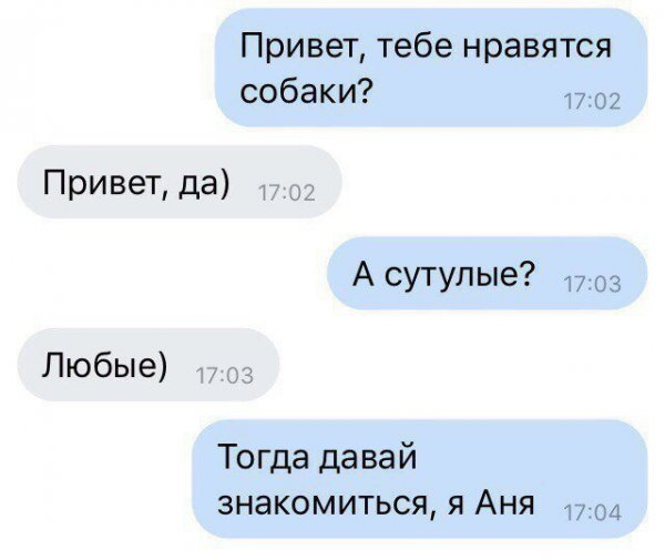 Соцсети жгут! Прикольные комментарии от народных юмористов Соцсети жгут! Прикольные комментарии от народных юмористов