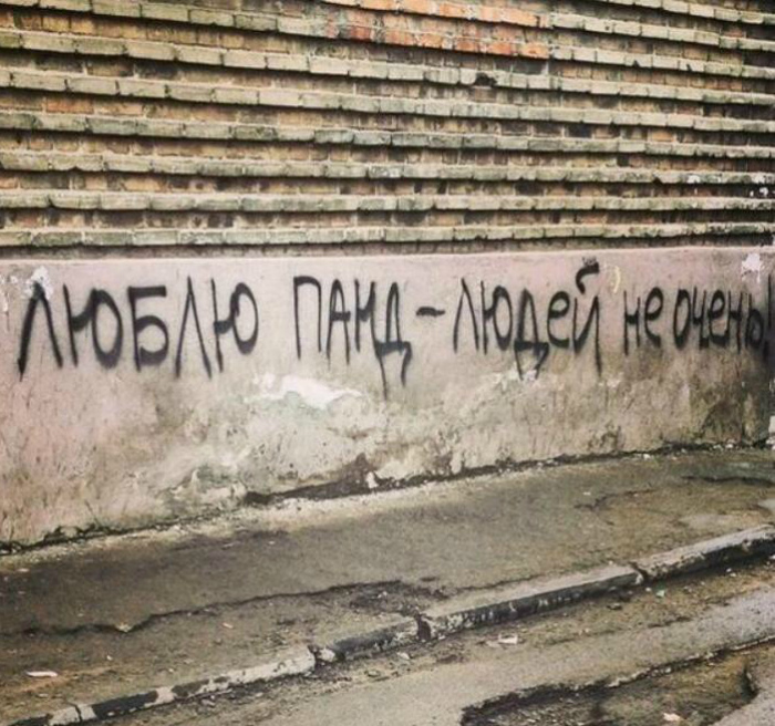 Панды классные. | Фото: Subscribe.Ru. Панды классные. | Фото: Subscribe.Ru.