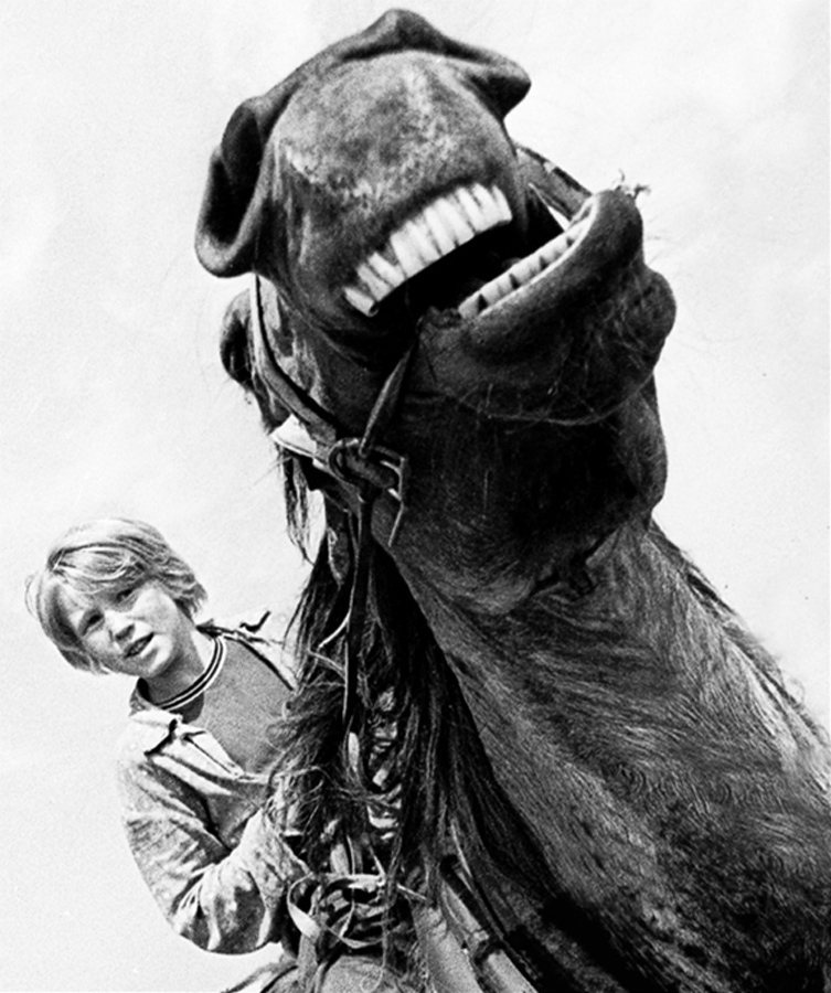 Гениальный фотожурналист советской эпохи Владимир Ролов Гениальный фотожурналист советской эпохи Владимир Ролов