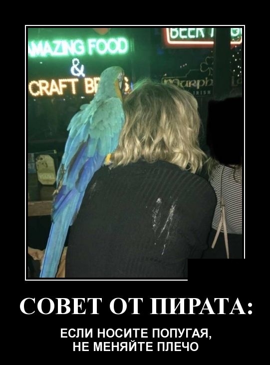 Демотиваторы Демотиваторы