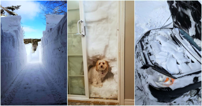 15 фотографий из Канады, в которой выпало более 3-х метров снега