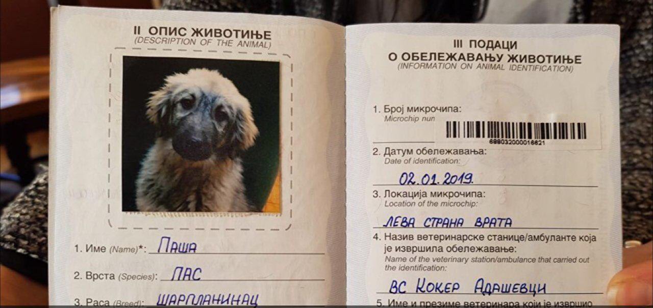 У Путина появился новый друг