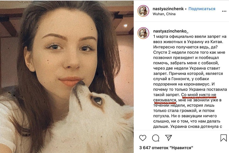 Зеленский "кинул" украинку, оставшуюся в Китае из-за собачки