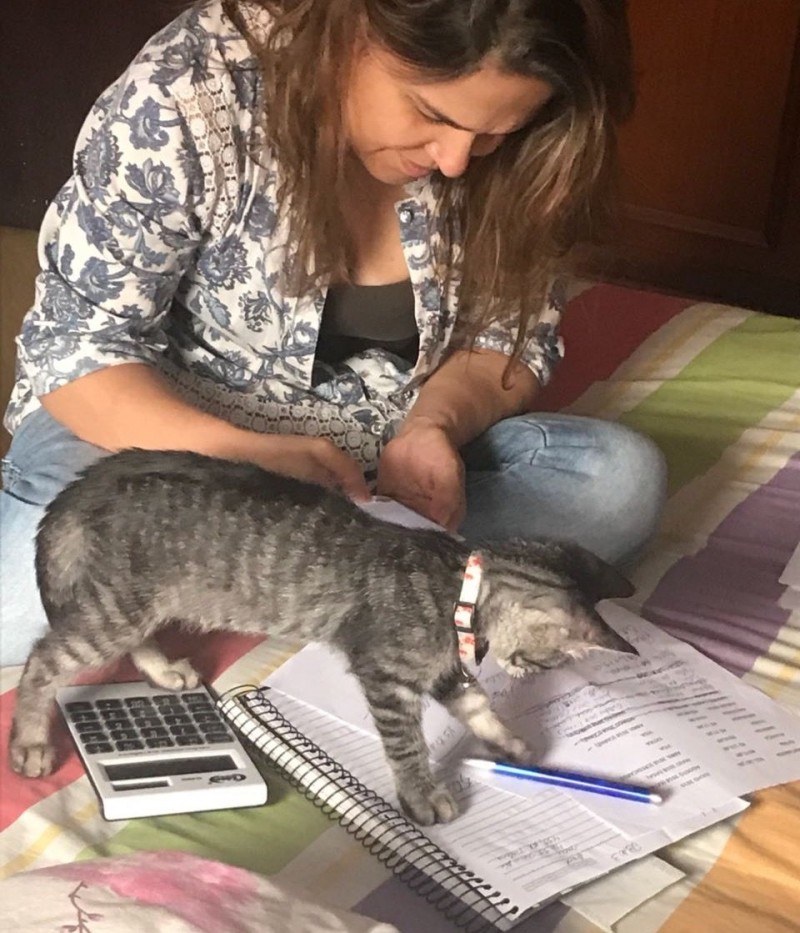 "В нашем доме не будет кота! Мама запретила оставлять котенка, но что-то пошло не по плану... "В нашем доме не будет кота! Мама запретила оставлять котенка, но что-то пошло не по плану...