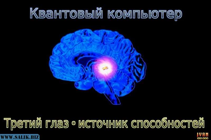 Секрет Всевидящего Ока. Квантовый мега - компьютер у тебя в мозгу