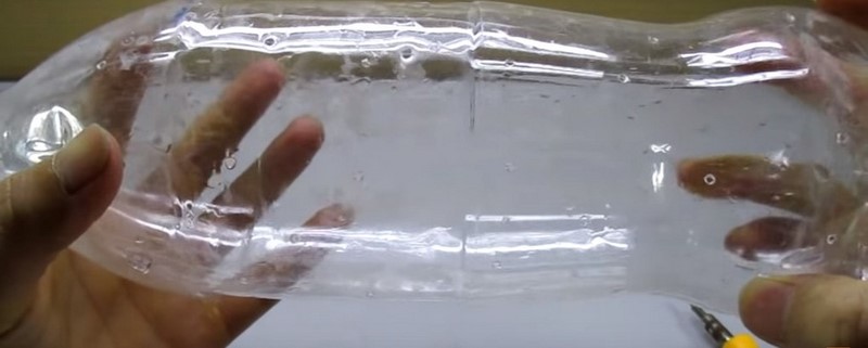 замачивание и проращивание семян