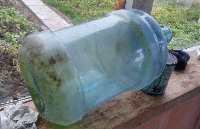 Баклажка 19-литров стала зеленой: как отмыть полезный сосуд от грязи и водорослей