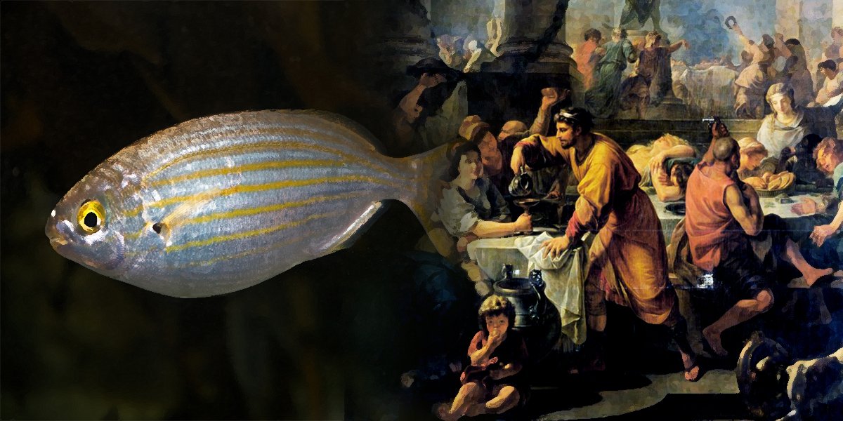 Наркоманы из Древнего Рима: галлюциногенная рыба из античности