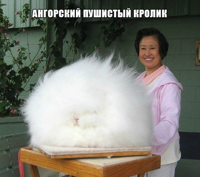 Немного юмора Немного юмора