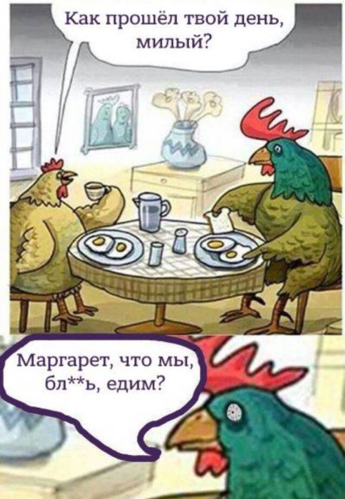 Прикольные картинки для всех (47 шт) Прикольные картинки для всех (47 шт)