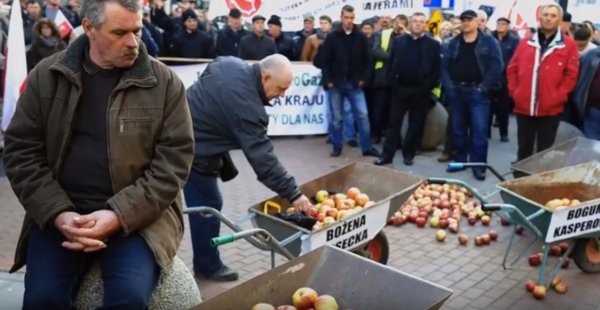 "Российский рынок заставил Польшу поплатиться за санкции!" - Польские фермеры требуют ответов "Российский рынок заставил Польшу поплатиться за санкции!" - Польские фермеры требуют ответов