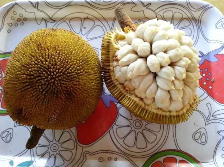 Самые экзотические фрукты в мире