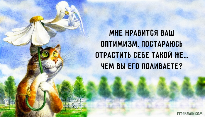 25 оптимистичных цитат Макса Фрая