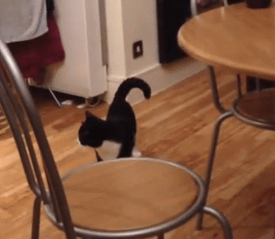 https://cdn.leafclover.club/wp-content/uploads/2017/07/2-2.gif