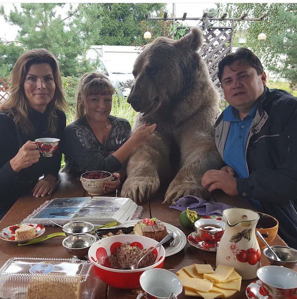 2204269 212 Russia is number one exporter of insanity! (25 Photos)