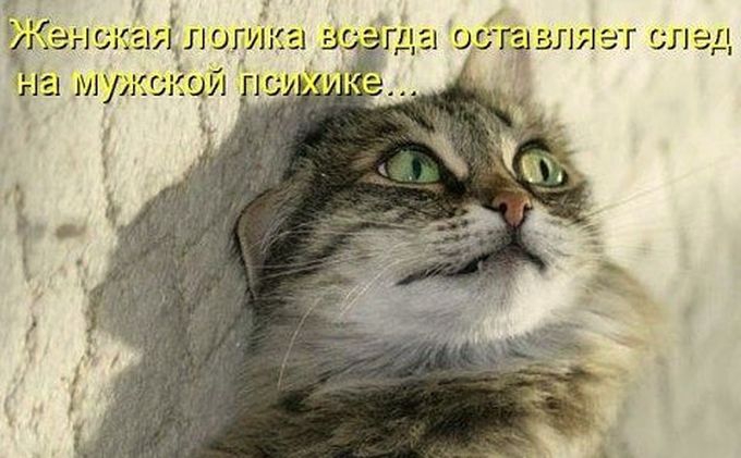   , , 
