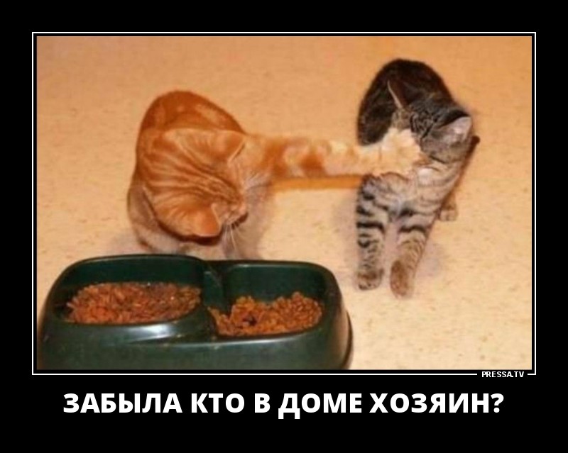 Новые позитивные демотиваторы о жизни Новые позитивные демотиваторы о жизни
