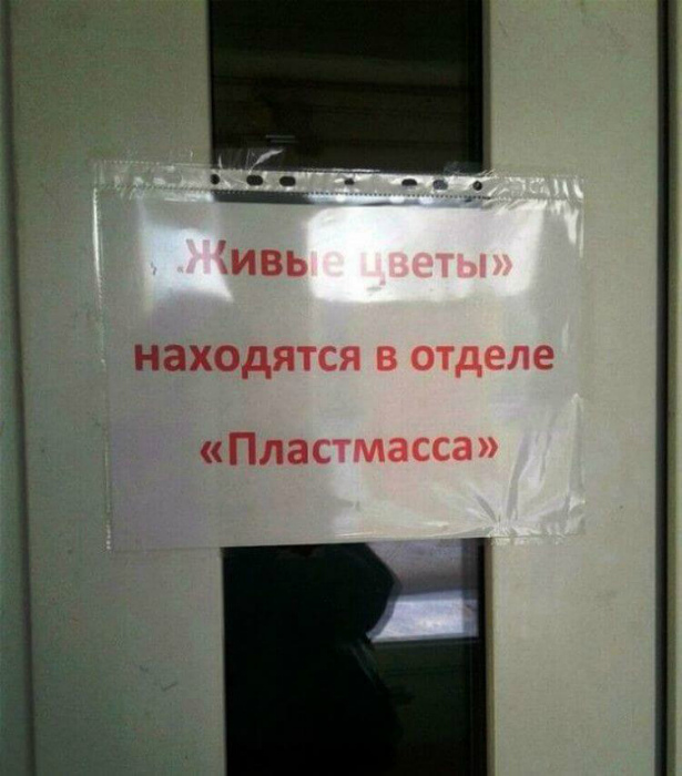 Живые цветы из пластмассы. Уморительные объявления и вывески, которые поднимут настроение любому