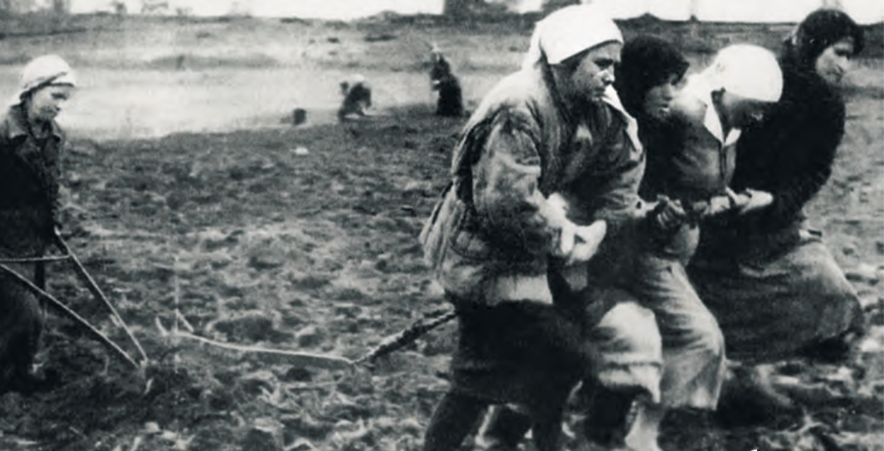 Экономическое чудо 1942-1945 годов: Цена и ценности