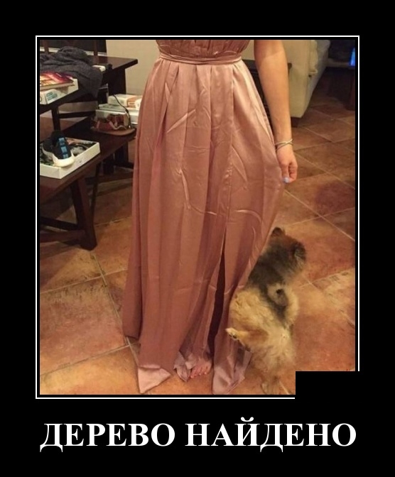 Демотиваторы Демотиваторы
