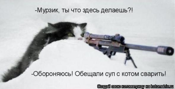 �����������(�������� � ���������)