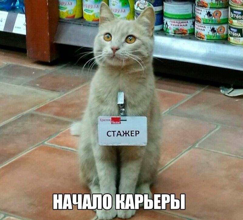 Классные картинки и милые фотографии из сети Классные картинки и милые фотографии из сети