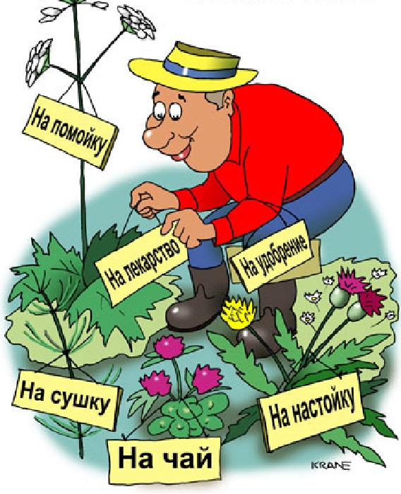 О даче с юмором. О даче с юмором.