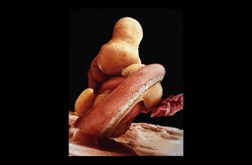 ���������� ������: ����� �������� - ������������ �� �������� ����.