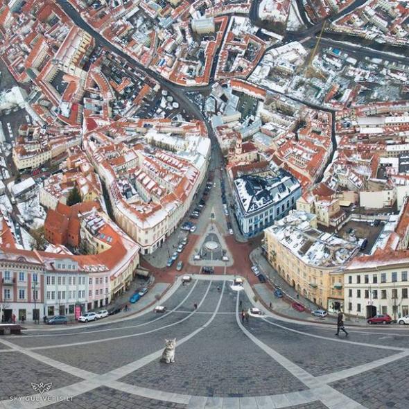 Обычные необычные фотографии