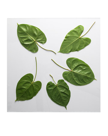 leaf-embossed-tabletop1.jpg