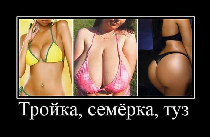 Демотиваторы, правильный фотограф... Демотиваторы, правильный фотограф...