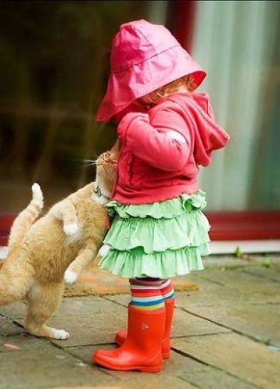 кошки, дети, дом