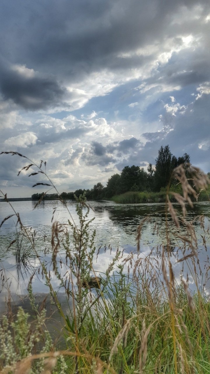 Река Лиелупе... Река Лиелупе... времена года, природа, юрмала