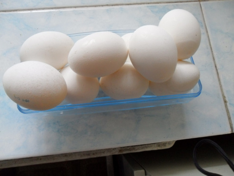 Красим пасхальные яйца Big