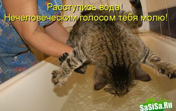 014 (700x441, 113Kb)