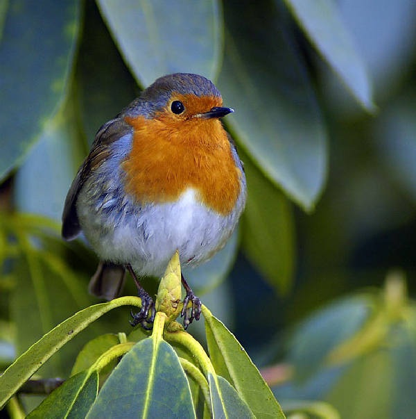 Дивная красота нашей матушки-Земли от Михалыча
