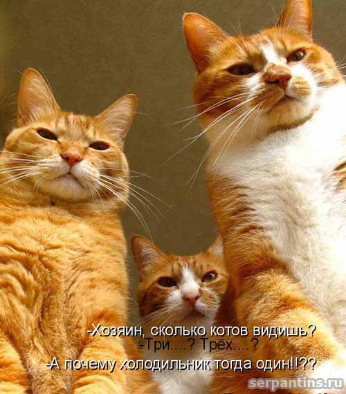 почему один холодильник