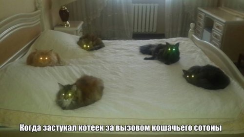 Прикольные картинки (30 фото) Прикольные картинки (30 фото)