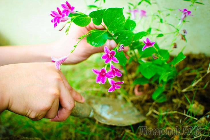 ��������� ������ ��� �������� ����� � �������� �������� �������