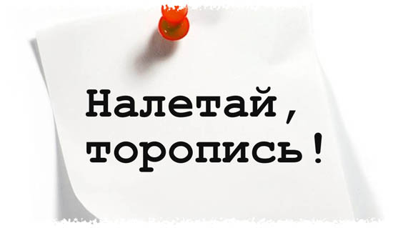 obyavlenie Объявления о кредите на столбах, в почтовых ящиках и на деревьях