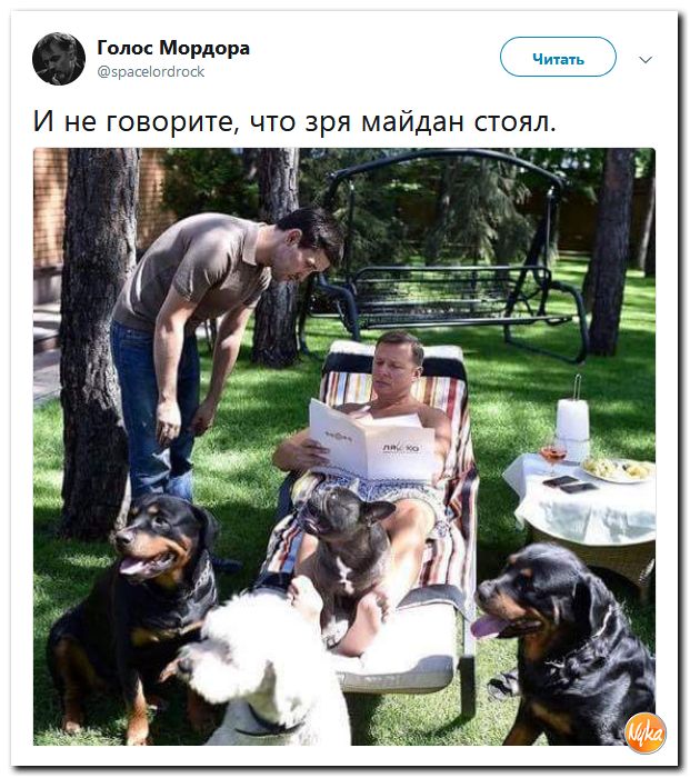 Обо всем понемногу с юмором и ехидными комментариями Обо всем понемногу с юмором и ехидными комментариями