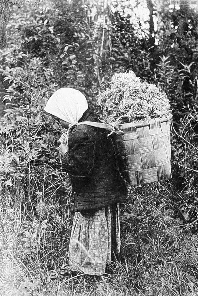 Лобовиков Сергей Александрович // Вятский «мужицкий фотограф» / Фото 1890 - 1914г.г. Лобовиков Сергей Александрович // Вятский «мужицкий фотограф» / Фото 1890 - 1914г.г.
