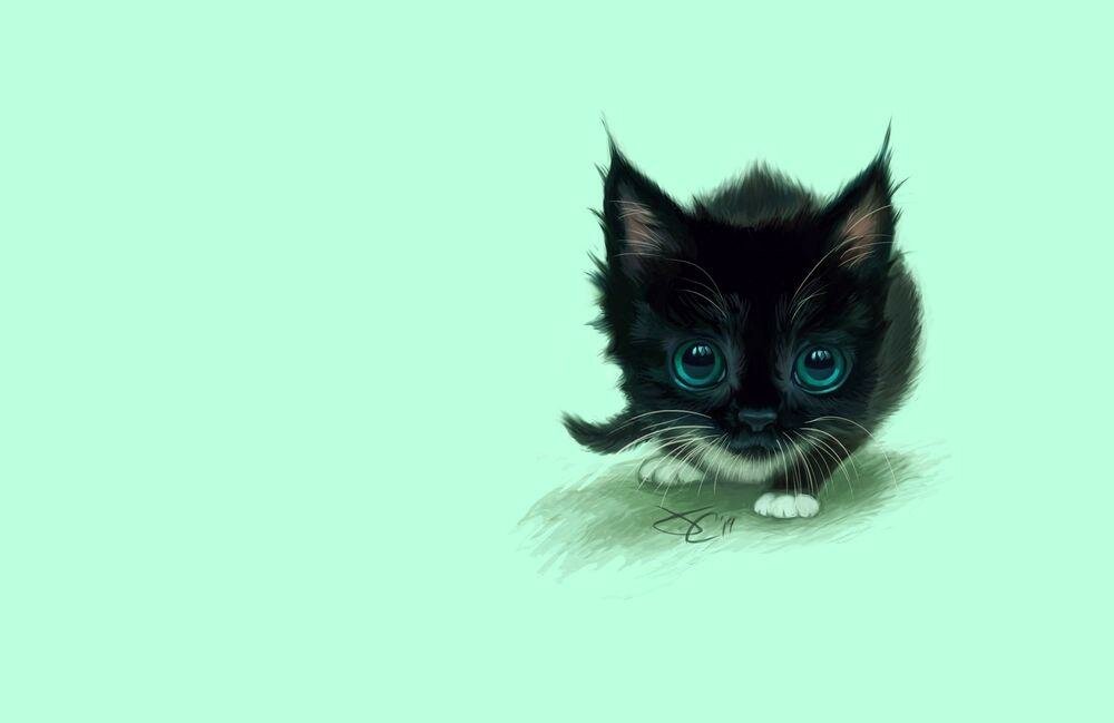 Маленький черный котенок